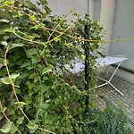 Centrum Krakowa, Apartament Z Ogrodem I Parkingiem
