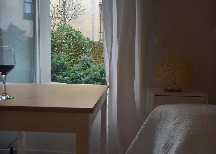 Centrum Krakowa, Apartament Z Ogrodem I Parkingiem