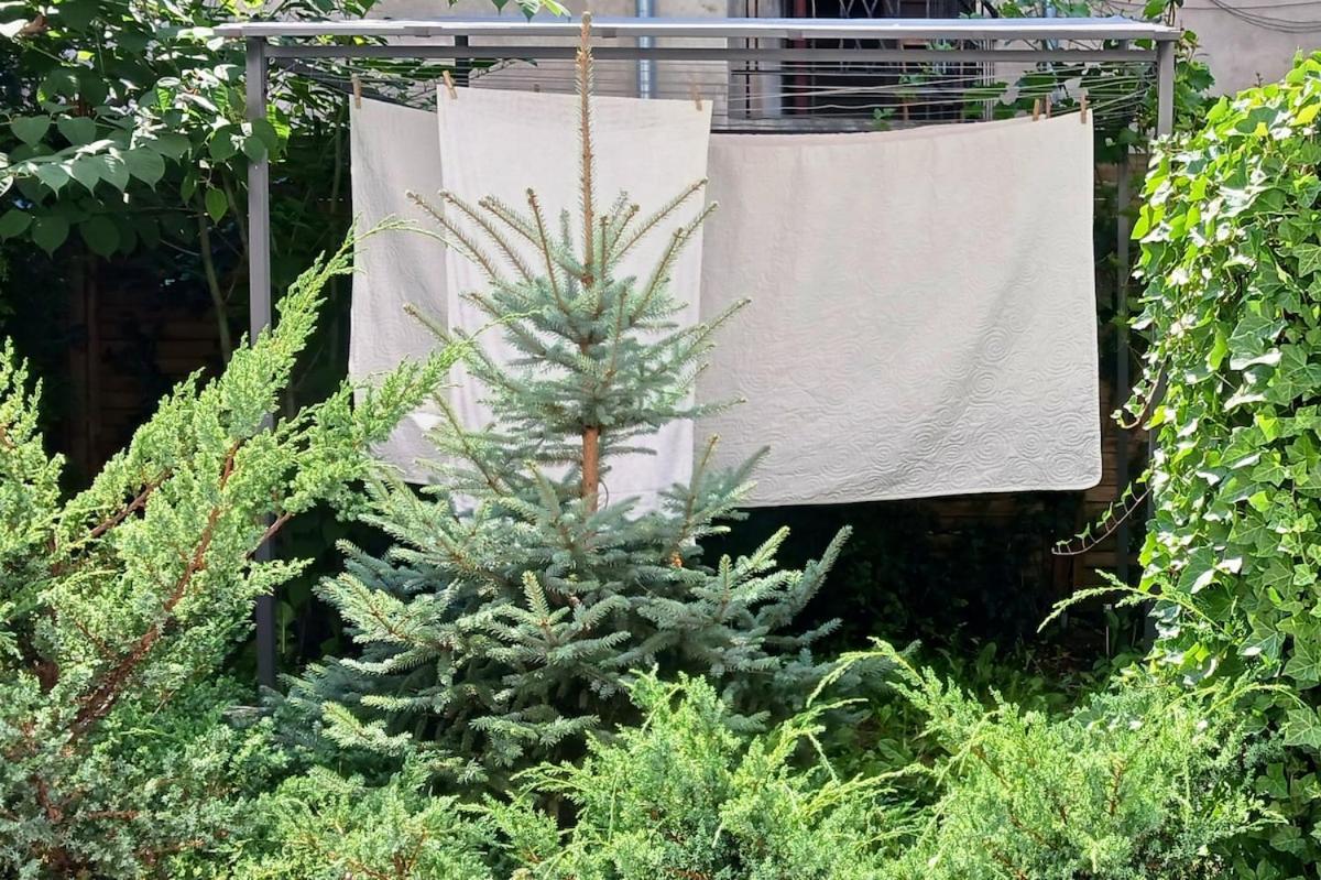 Centrum Krakowa, Z Ogrodem I Parkingiem Apartament *