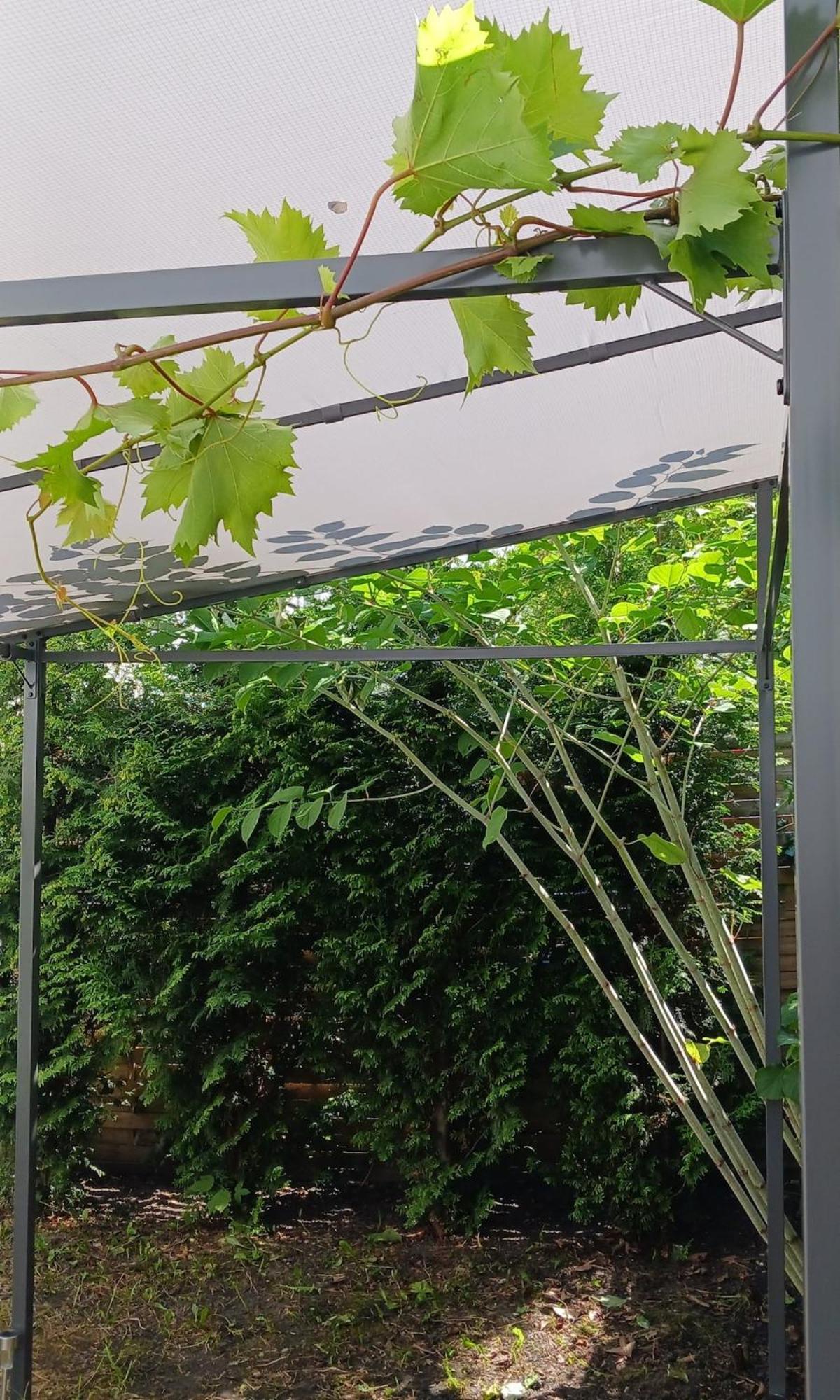 Apartament Centrum Krakowa, Z Ogrodem I Parkingiem Kraków