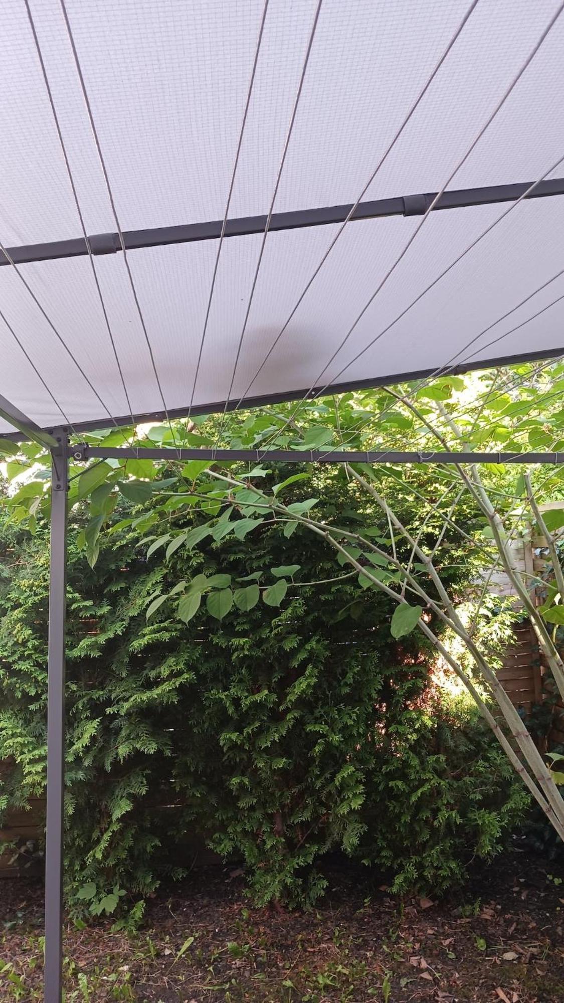 Apartament Centrum Krakowa, Z Ogrodem I Parkingiem *