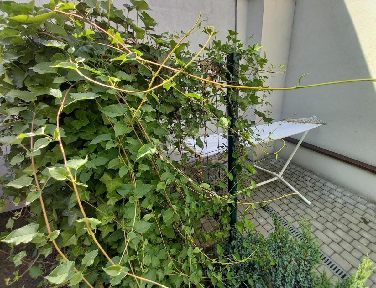 Apartament Centrum Krakowa, Z Ogrodem I Parkingiem *